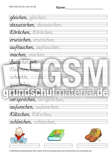 DSS_2S_Bu_chen_Nr_05.pdf